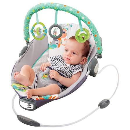 Adjustable Baby Rocker Chair